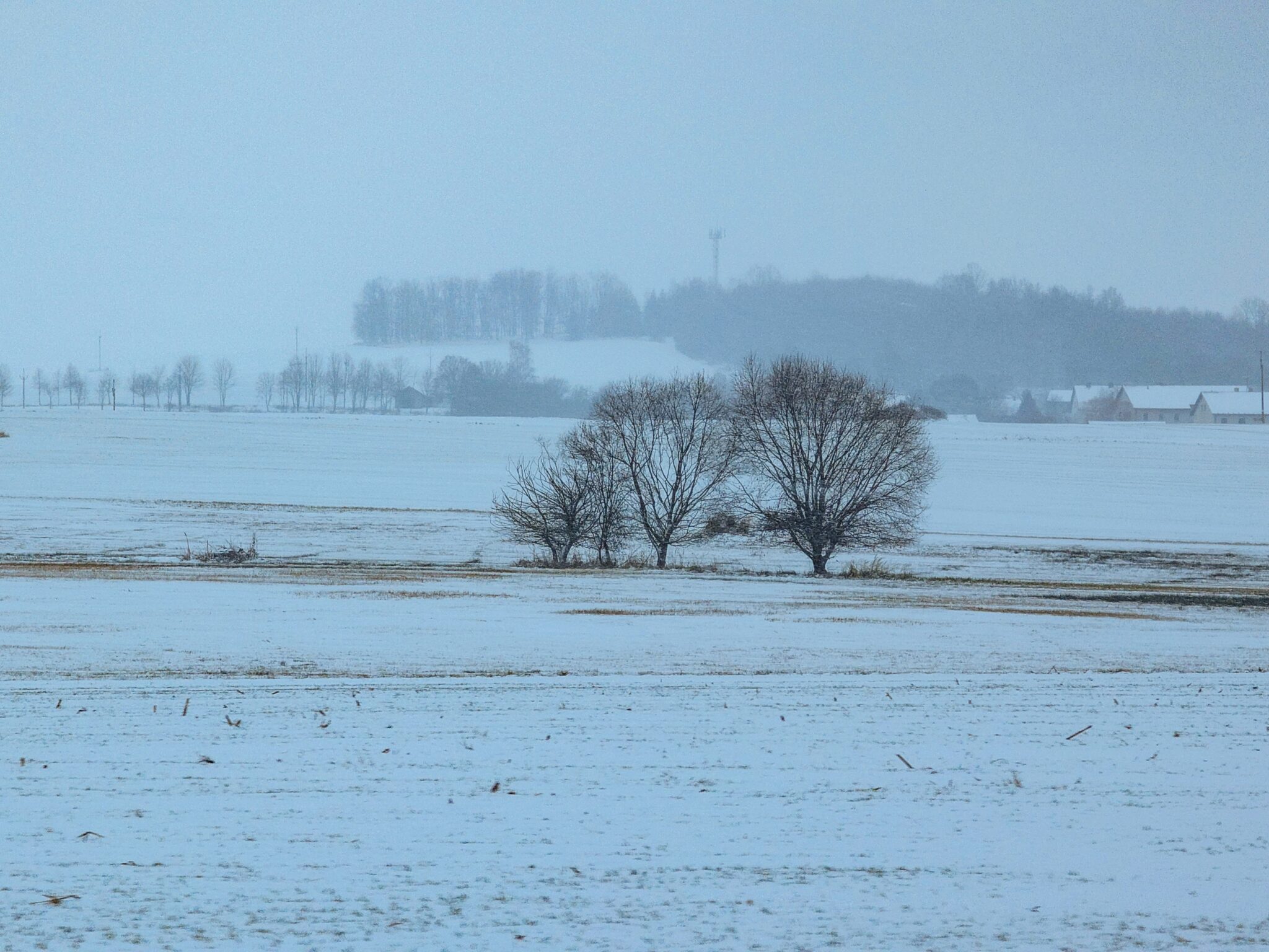 Boemia on the road Boemia on the road