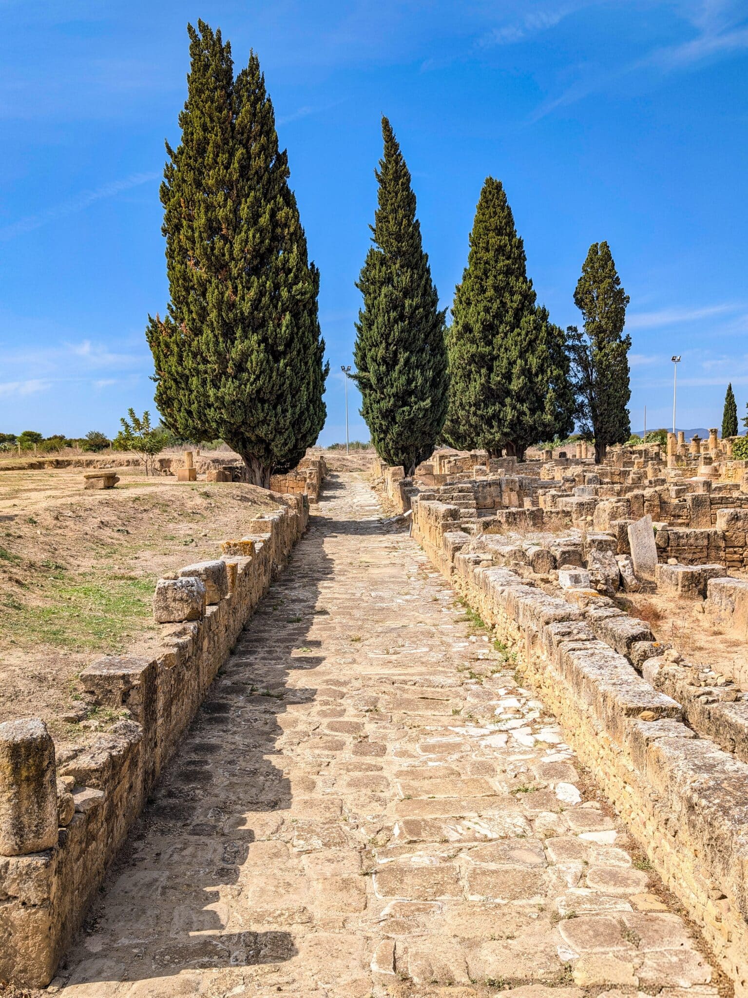 Il sito archeologico di Utica Il sito archeologico di Utica