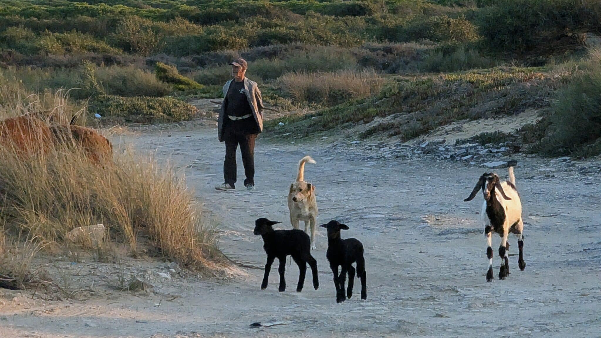 Incontri on the road Incontri on the road