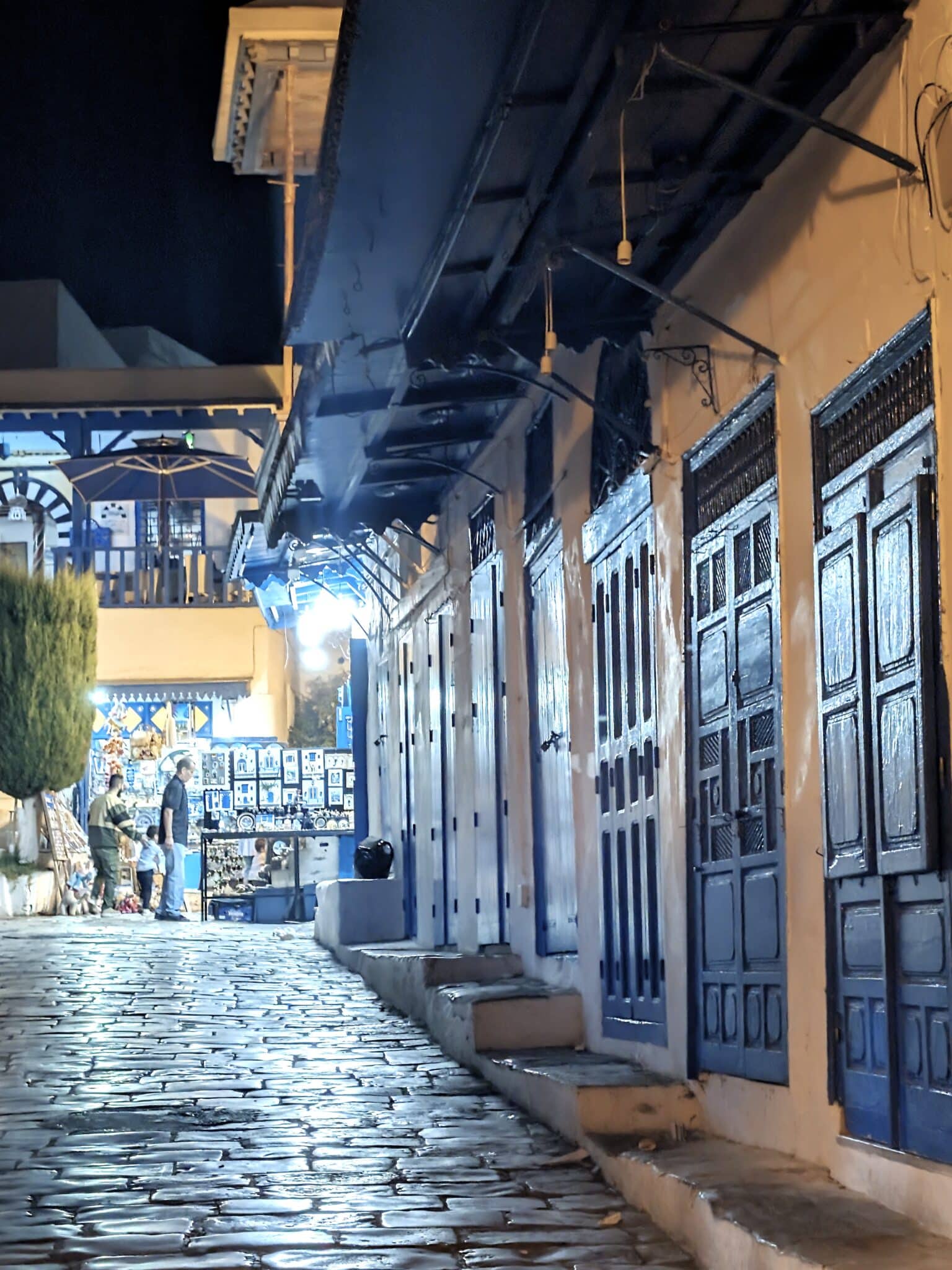 Lungo le strade di Sidi Bou Said Lungo le strade di Sidi Bou Said