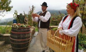 Istria croata: itinerario da Opatija alle tradizioni dell’entroterra