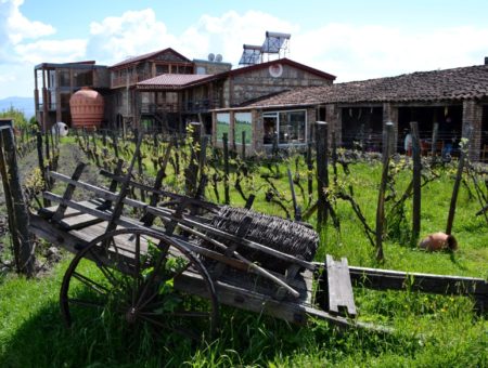 Il vino in anfora della Georgia: cosa vedere nella regione del Kakheti
