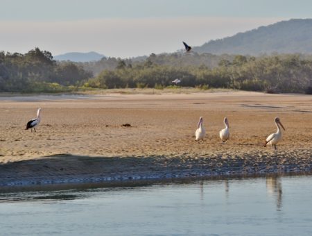 Australia on the road: lungo la Pacific Coast da Sydney a Byron Bay