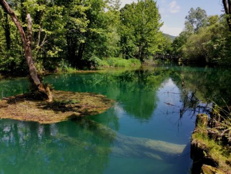 Itinerario alla scoperta dell’Alto Livenza, dove nasce il fiume verde