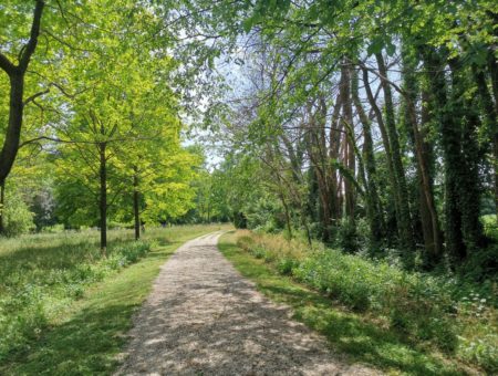 7 passeggiate facilissime nella natura del Friuli Venezia Giulia