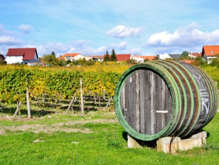 Slovacchia, itinerario in 7 tappe lungo la Strada del Vino dei Piccoli Carpazi