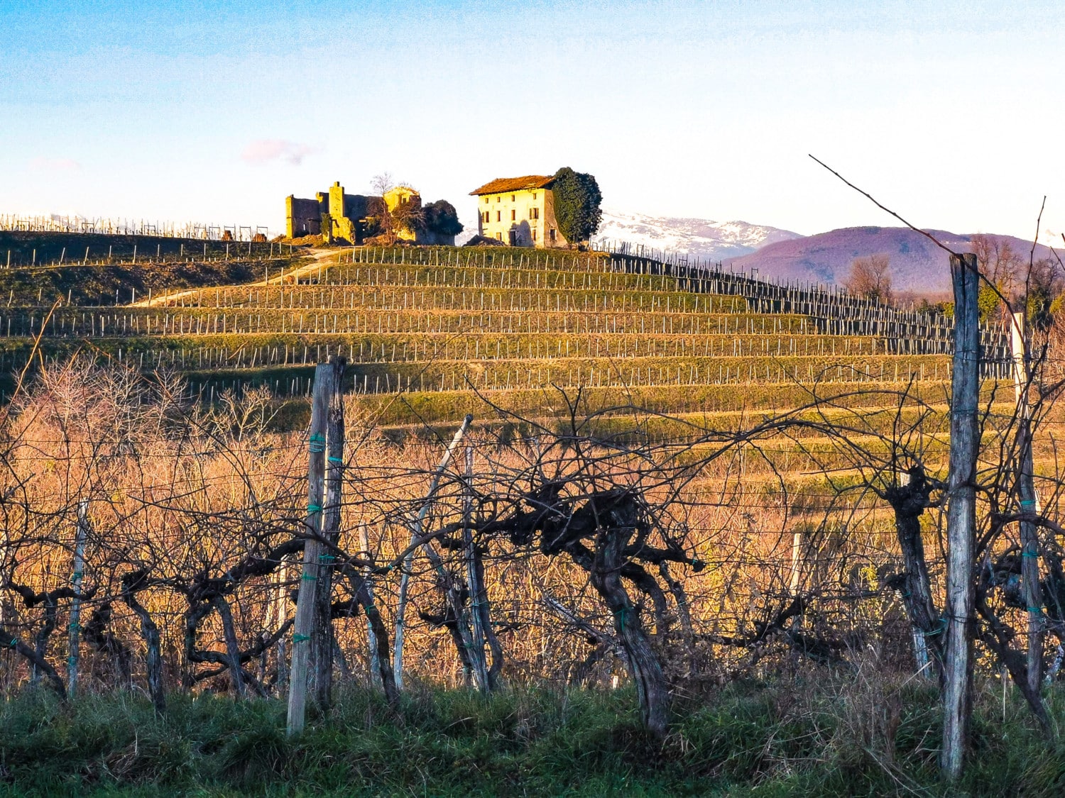 cosa vedere sul collio friulano