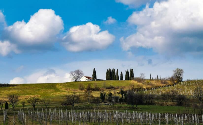 Goce valle del vipava