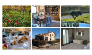 Dove dormire nelle cantine del Friuli: la mia esperienza