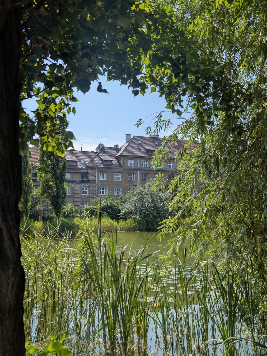 Il laghetto del parco di inizio Novecento Il laghetto del parco di inizio Novecento