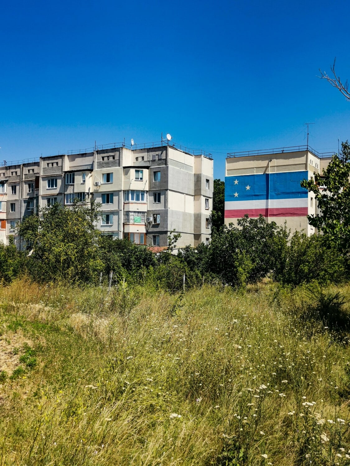 Murale con bandiera gaugaza a Ceadîr-Lunga