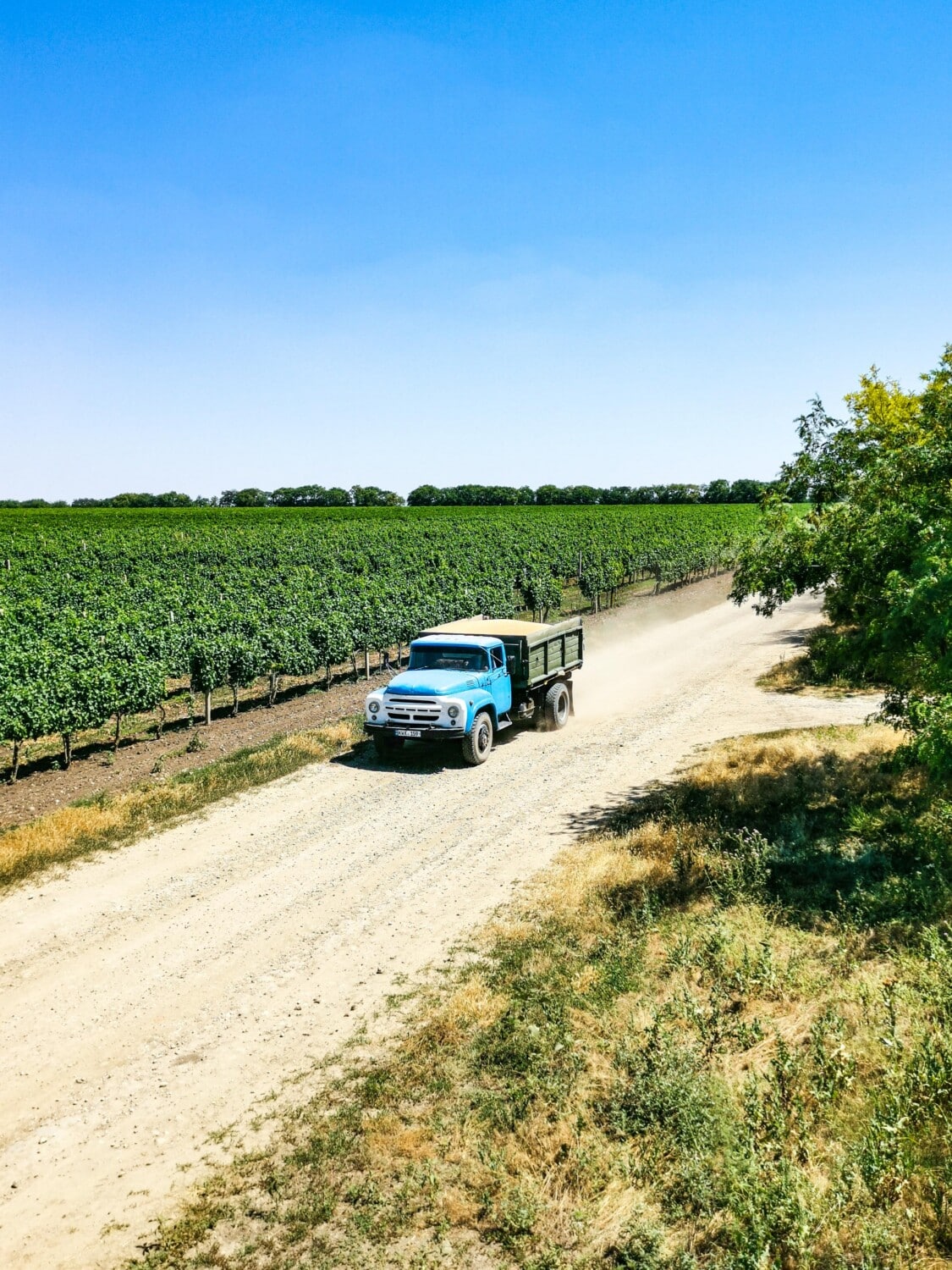 On the road in Gaugazia